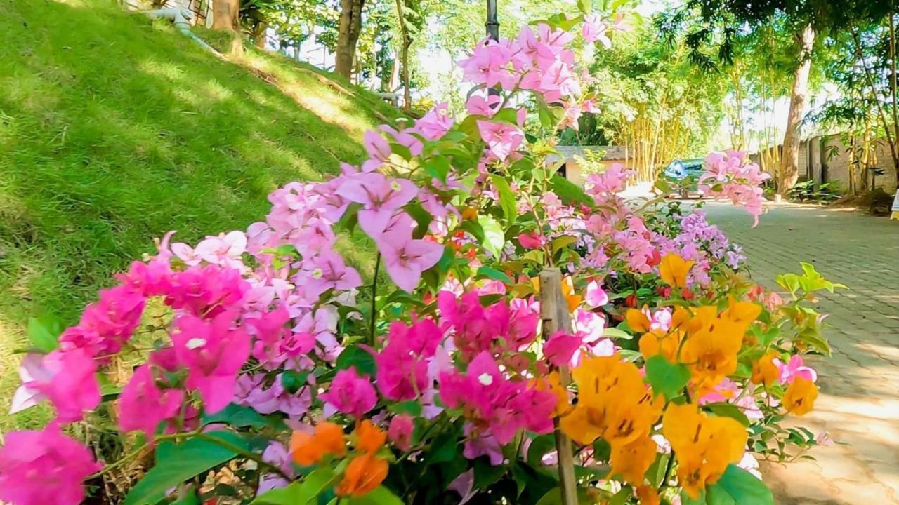 Bougainvillea Retreat & Spa Kaharpara Экстерьер фото