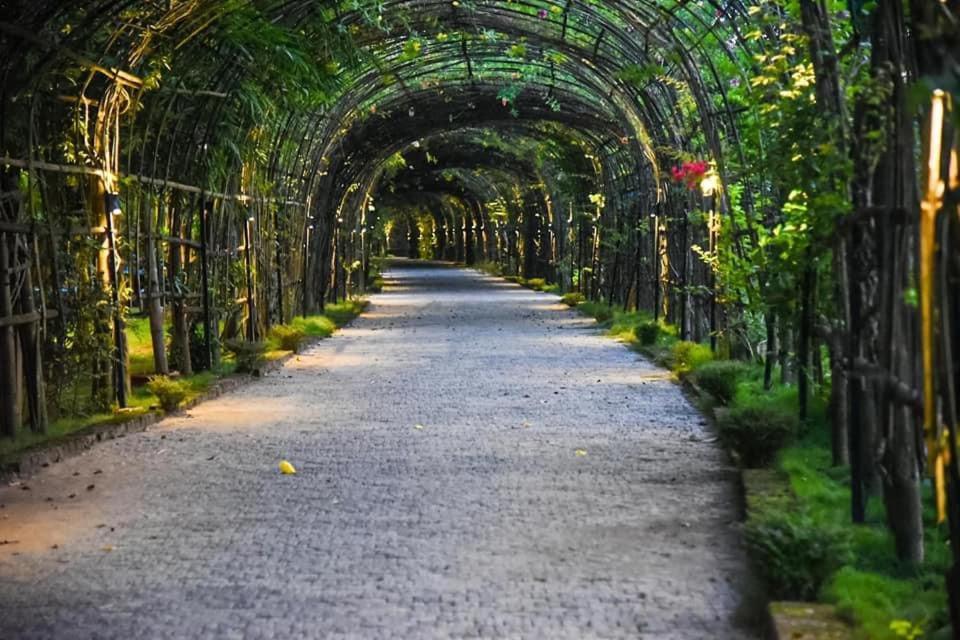Bougainvillea Retreat & Spa Kaharpara Экстерьер фото